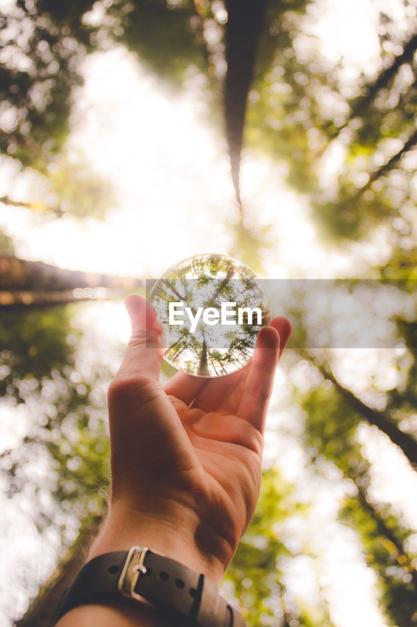 Low angle view of hand holding crystal ball with trees reflection against clear sky