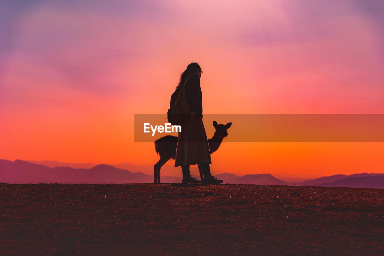 Silhouette woman standing with animal on field against orange sky