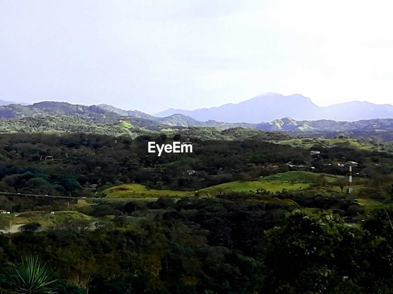 SCENIC VIEW OF TREES AND MOUNTAINS AGAINST SKY