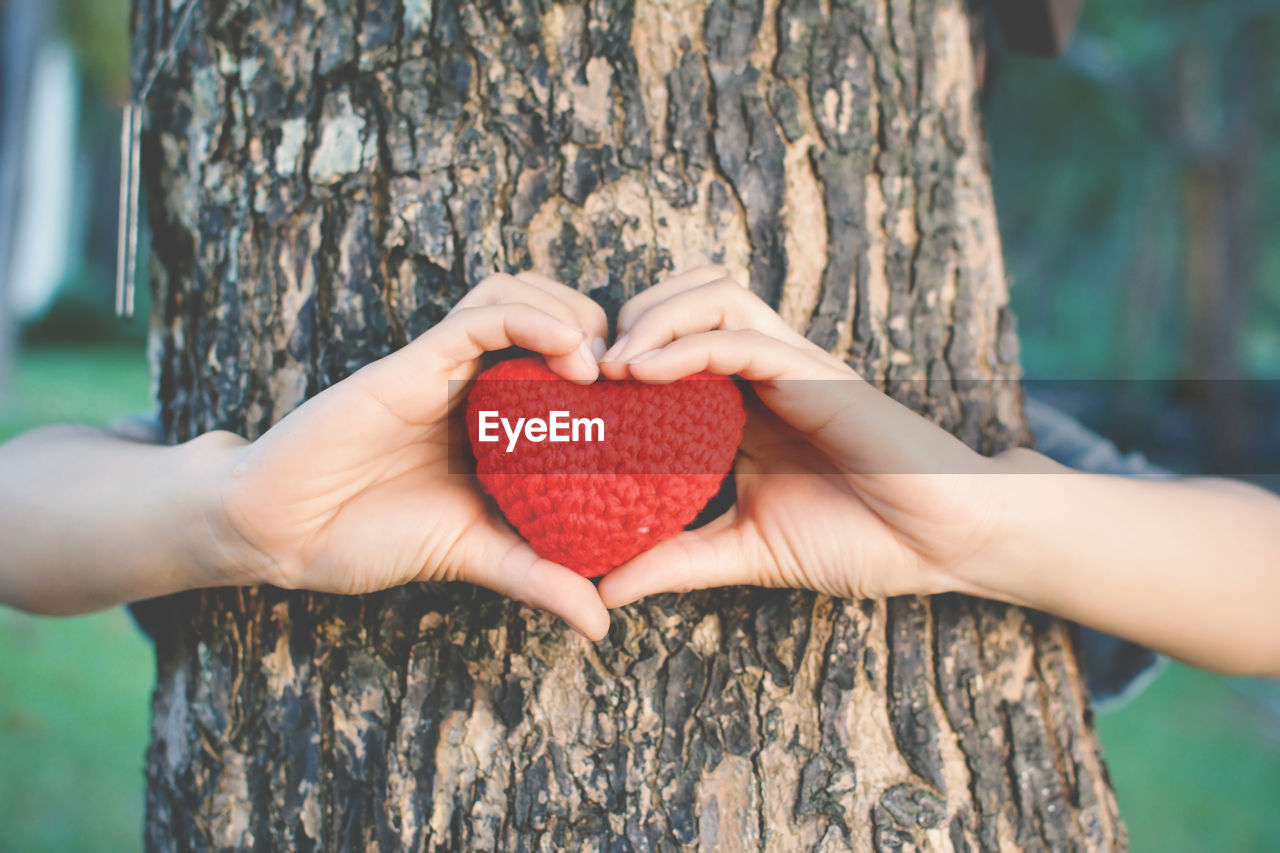 Cropped image of woman holding knitted heart while hiding behind tree