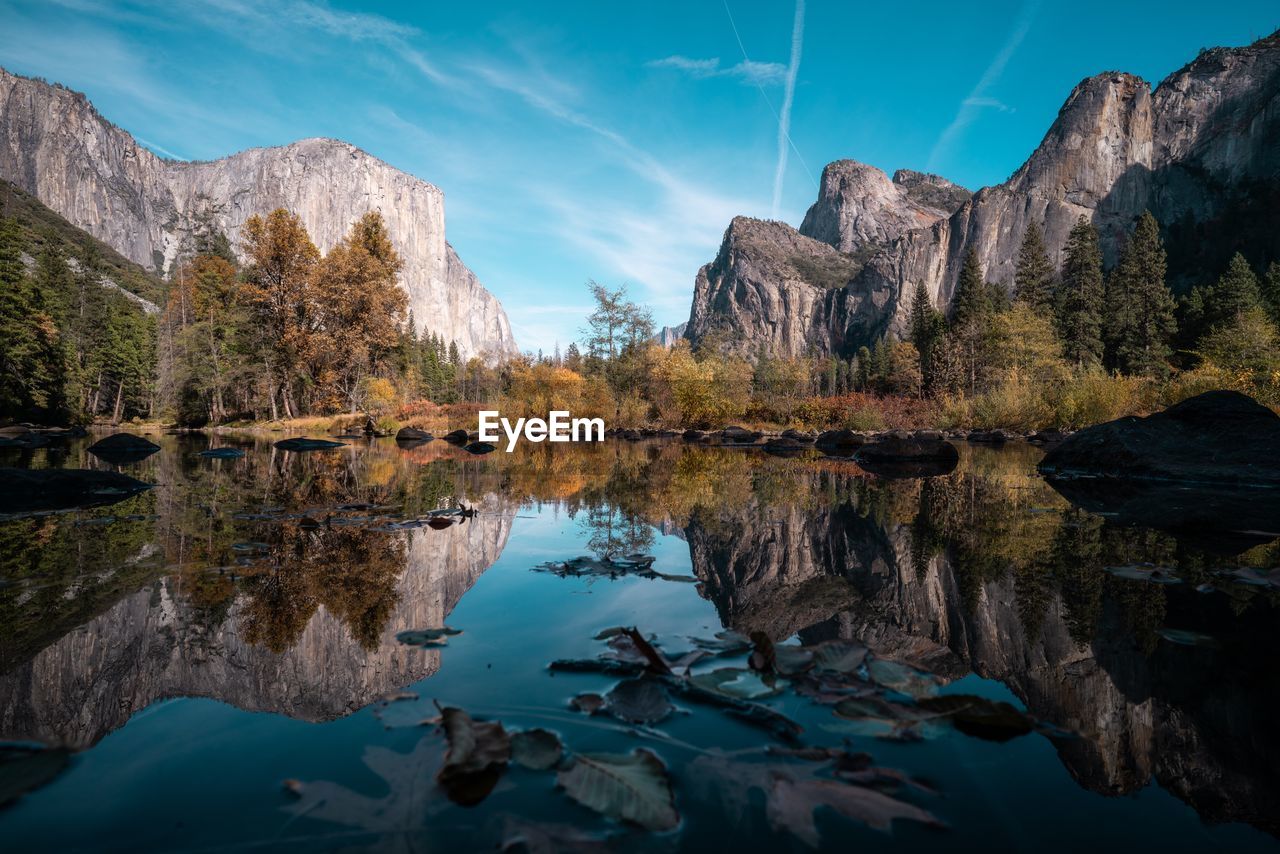 Reflection of trees in lake at forest