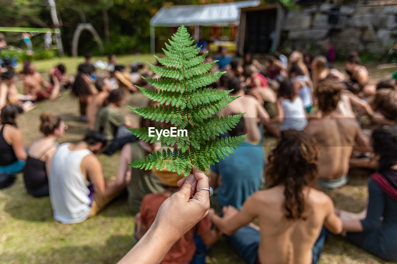 Rear view of people enjoying at plants