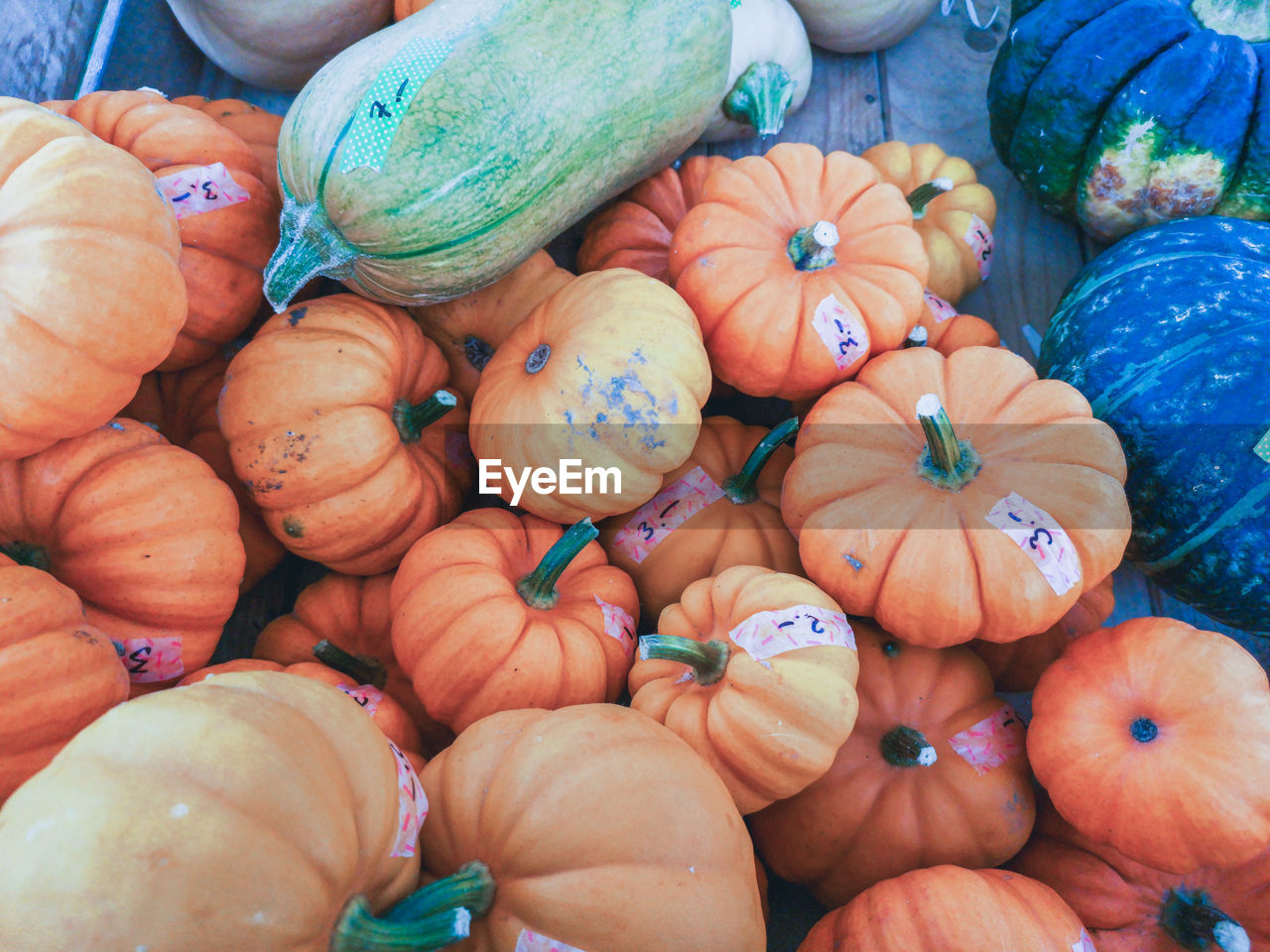 FULL FRAME SHOT OF PUMPKINS IN MARKET