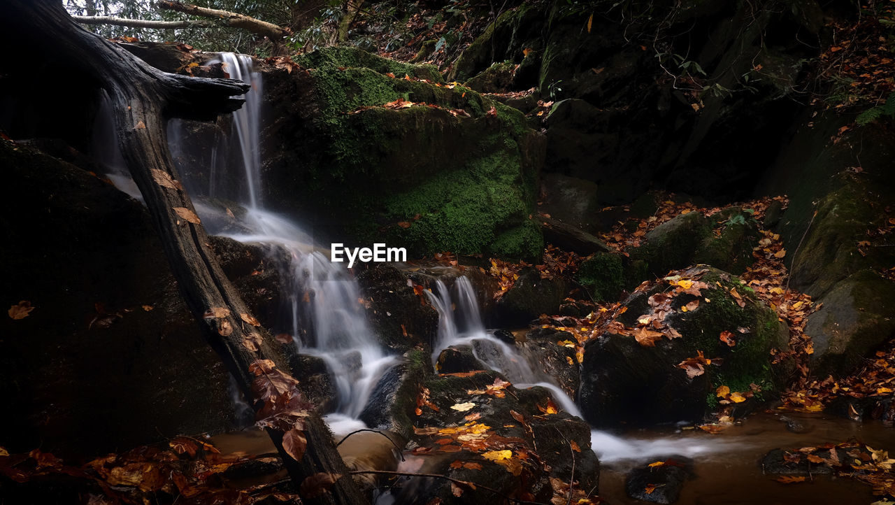 Scenic view of waterfall in forest