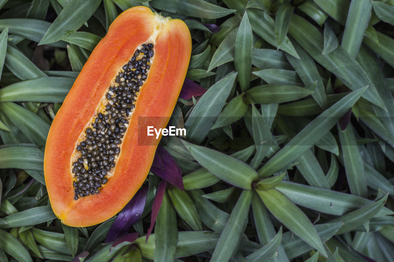 Ripe papaya, halved on the leaf surface.