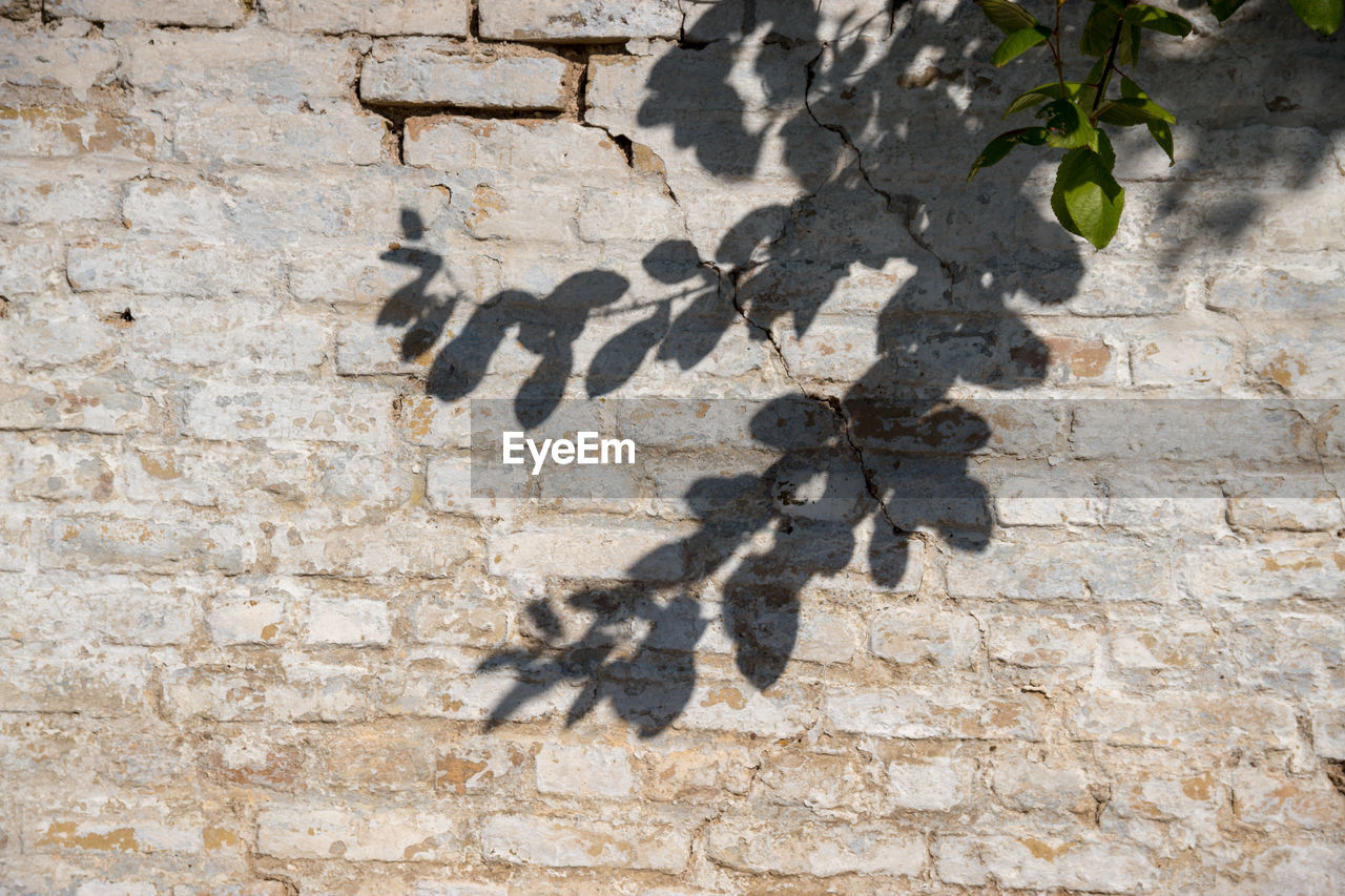 Shadow of people on wall