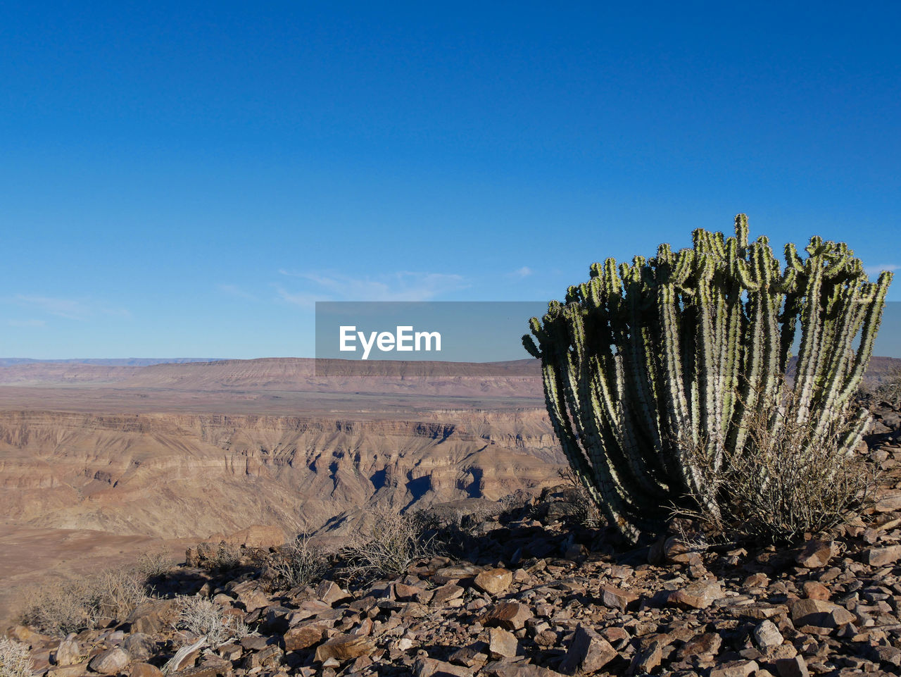 scenic view of desert against clear sky