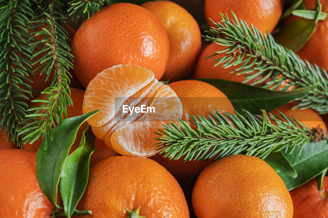 close-up of fruits