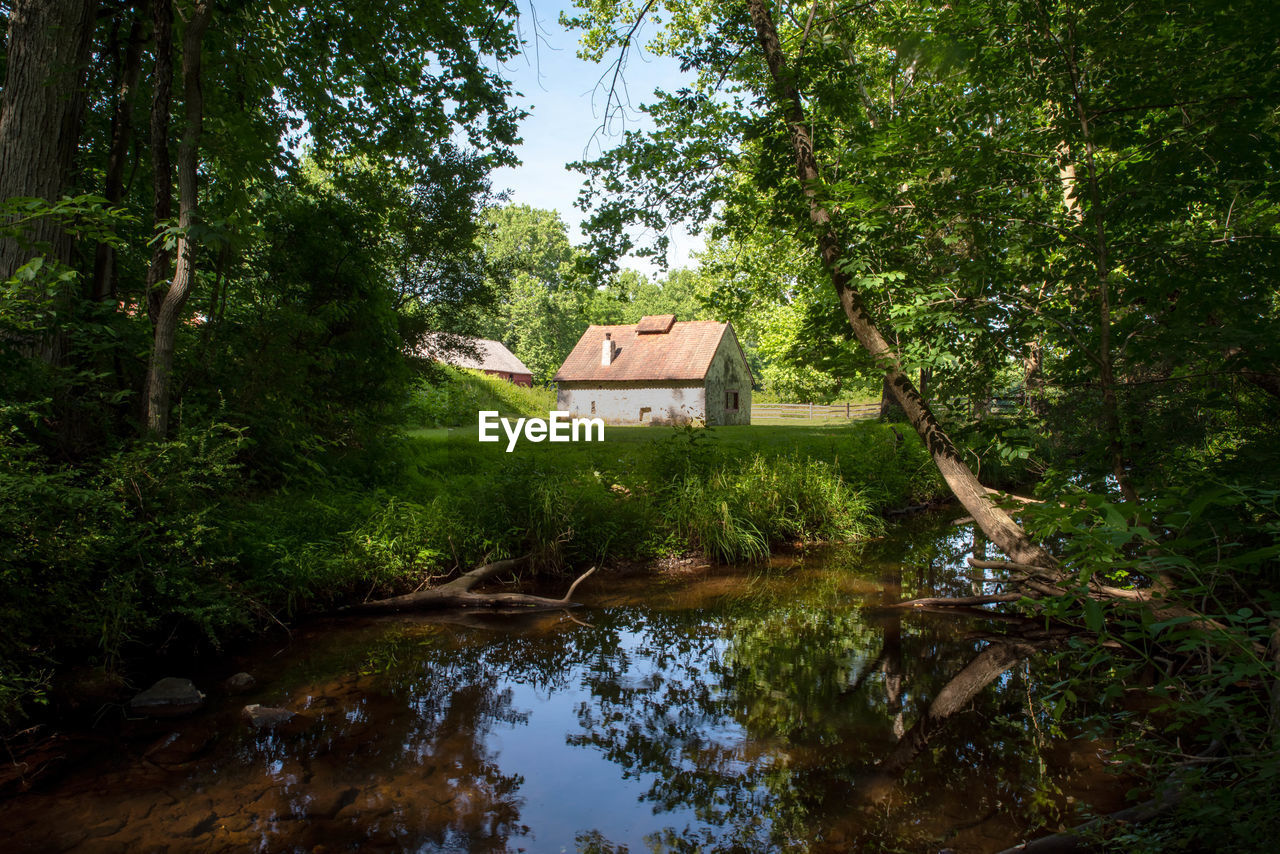 A white stone cottage with a red roof beside a flowing tranquil stream in enchanted storybook woods