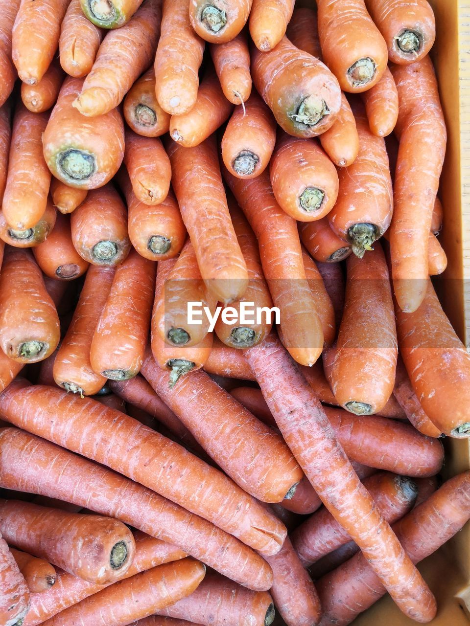 carrot, food, food and drink, healthy eating, vegetable, root vegetable, large group of objects, freshness, wellbeing, produce, abundance, full frame, orange color, no people, market, backgrounds, day, high angle view, raw food, retail, for sale, close-up, market stall, outdoors