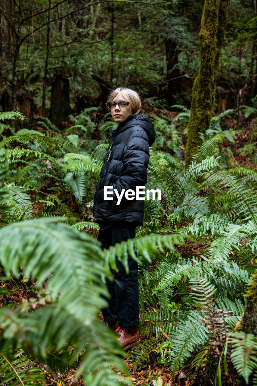 Teenage boy standing in fern grove in northern california forest