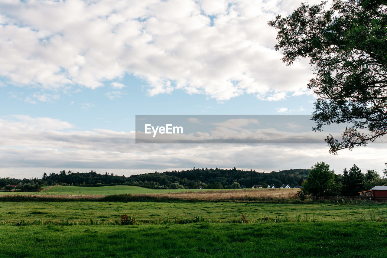 Scenic view of green rural field against cloudy sky