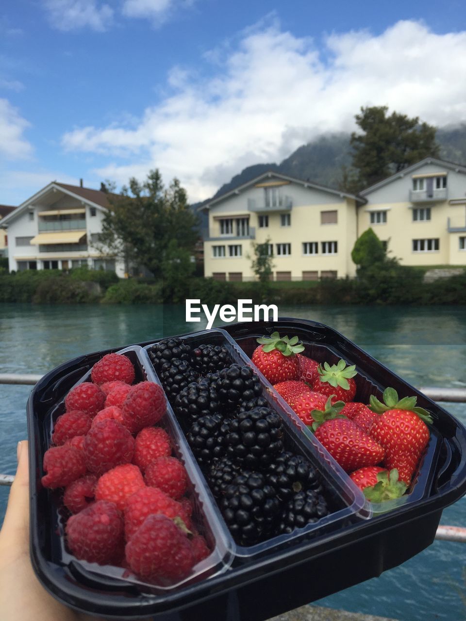 RED FRUITS IN FRONT OF BUILDINGS