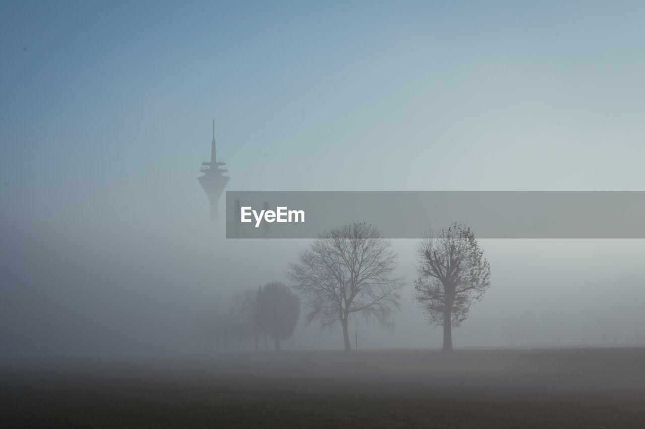 Trees on landscape against sky during foggy weather