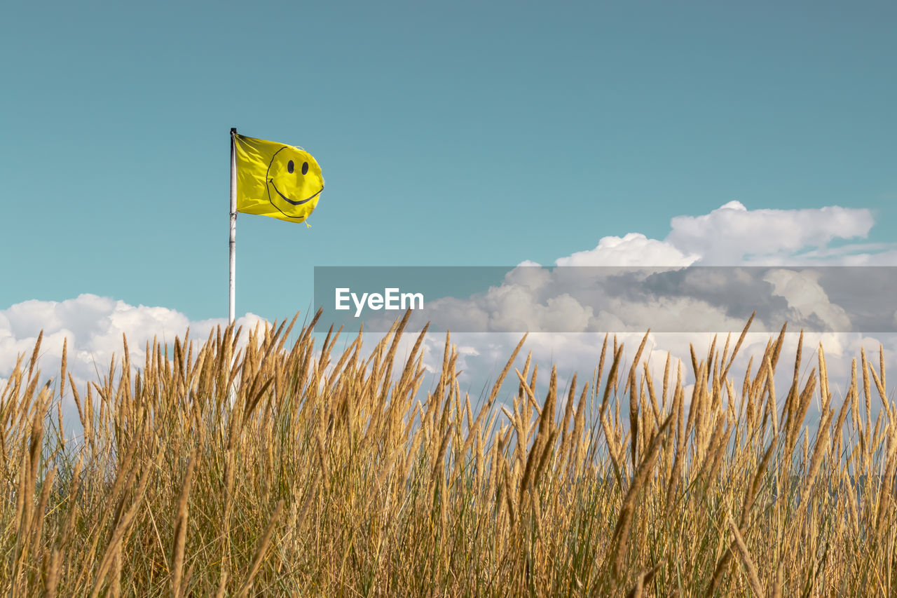 Low angle view of yellow smiley face flag on field against sky