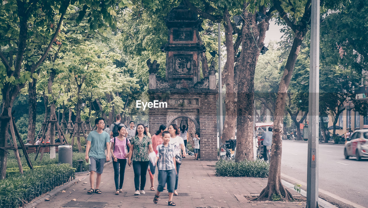 GROUP OF PEOPLE WALKING ON PLANTS