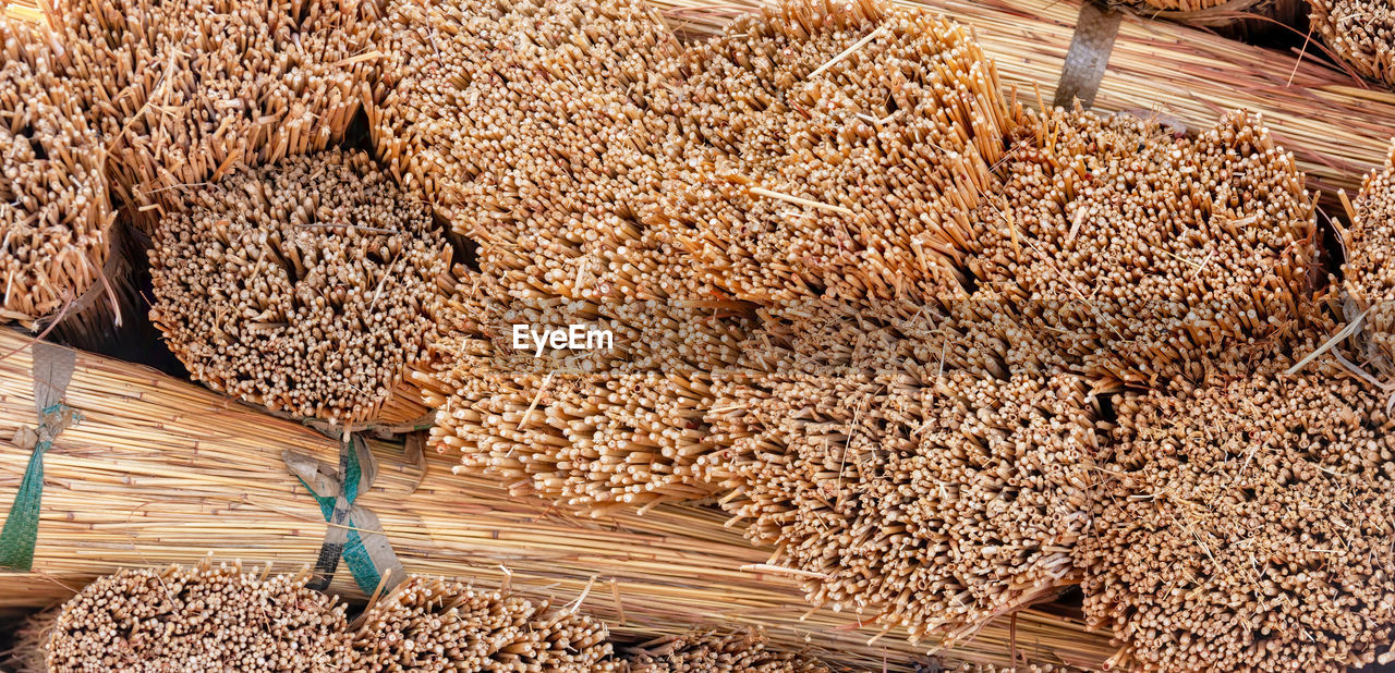 HIGH ANGLE VIEW OF CORN ON WOODEN FLOOR