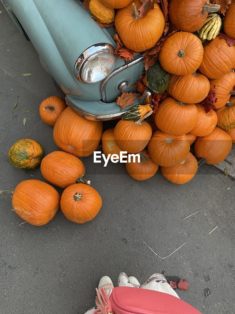 high angle view of pumpkins for sale