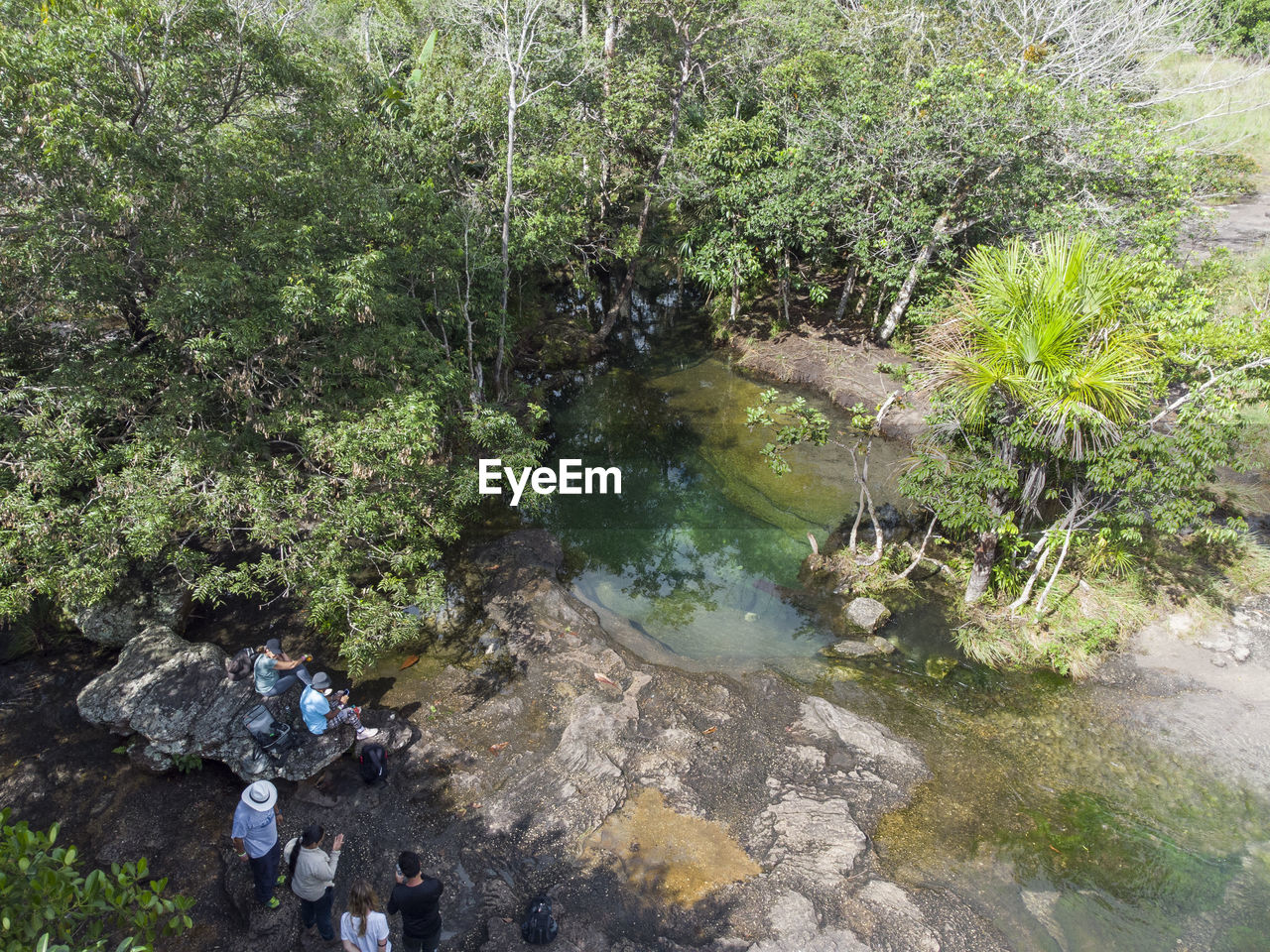 plant, water, nature, high angle view, tree, growth, day, stream, beauty in nature, green, tranquility, land, rock, pond, river, outdoors, no people, forest, environment, scenics - nature, non-urban scene, tranquil scene, sunlight, trail