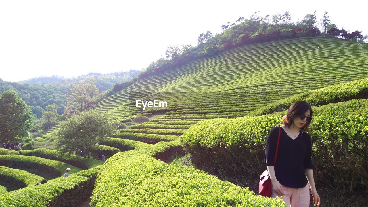 Young woman wearing sunglasses walking in farm against sky