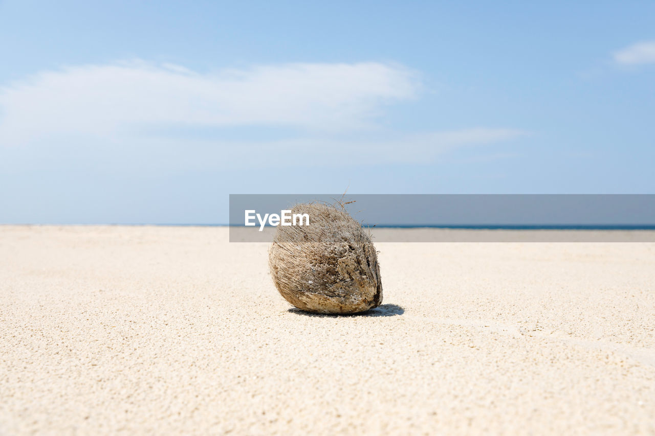 Surface level of sand on beach against sky