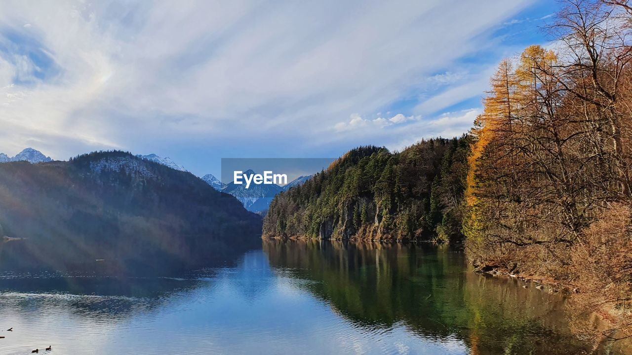 Scenic view of lake and the alps by trees against sky