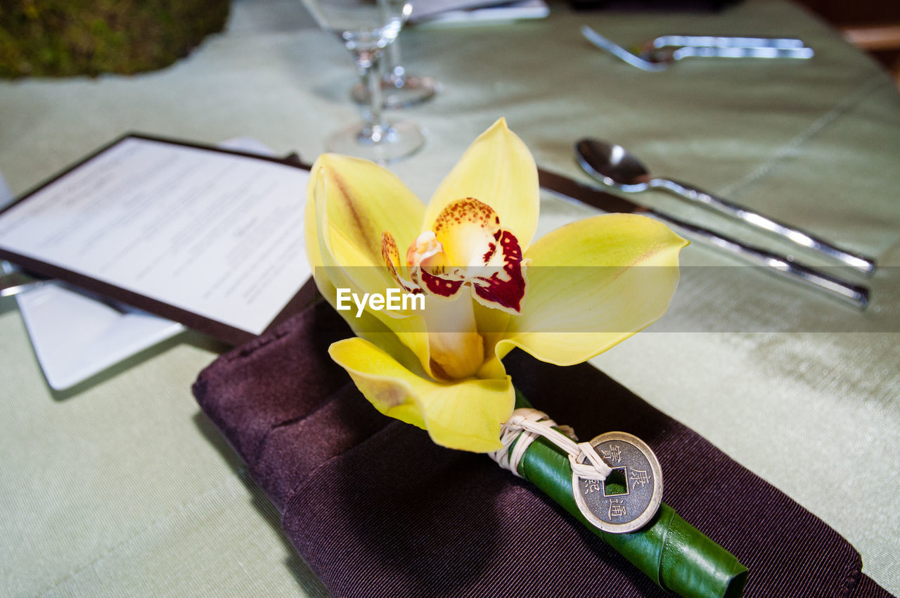 HIGH ANGLE VIEW OF FLOWER ON TABLE AT HOME