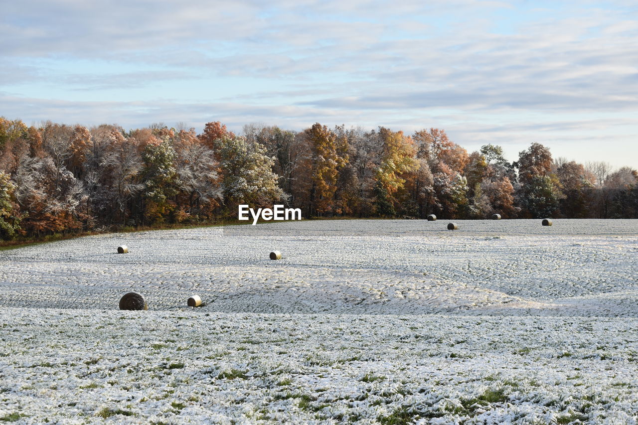 Early snow