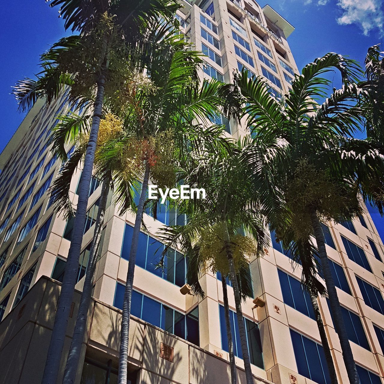 LOW ANGLE VIEW OF MODERN BUILDING