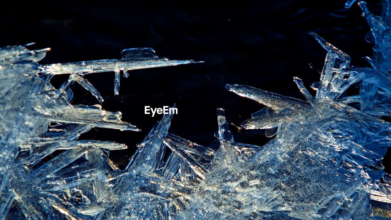 HIGH ANGLE VIEW OF FROZEN PLANTS AND TREES