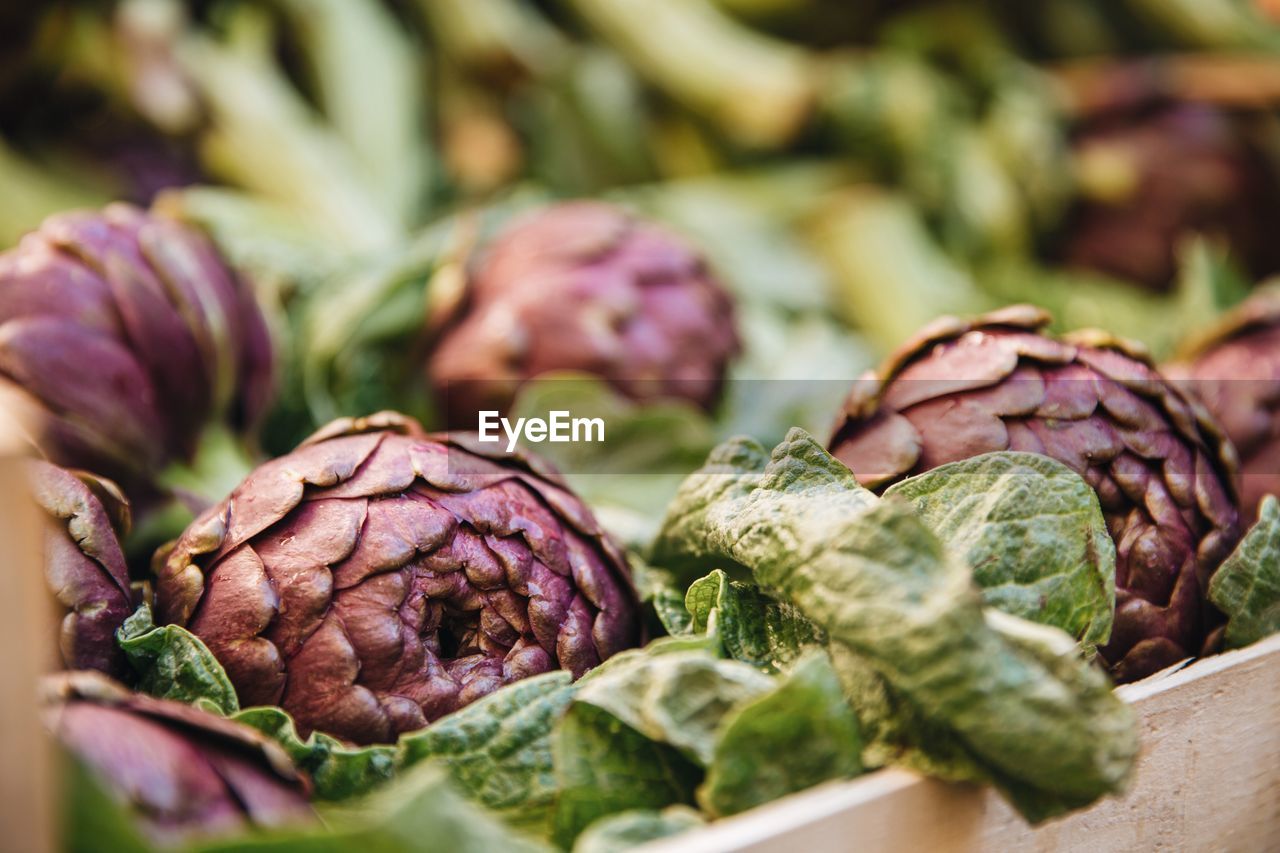 Close-up of fresh vegetables in market