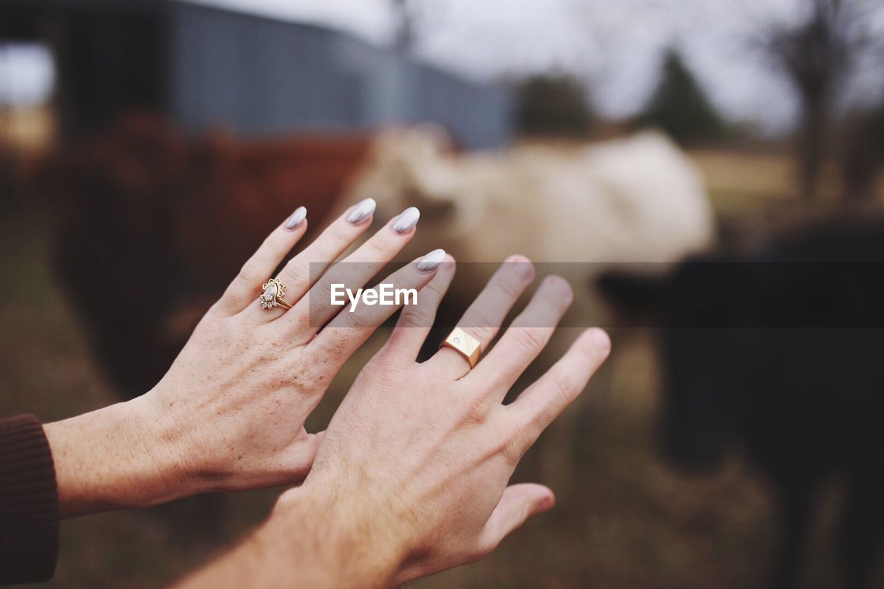 Cropped hands of couple showing wedding rings