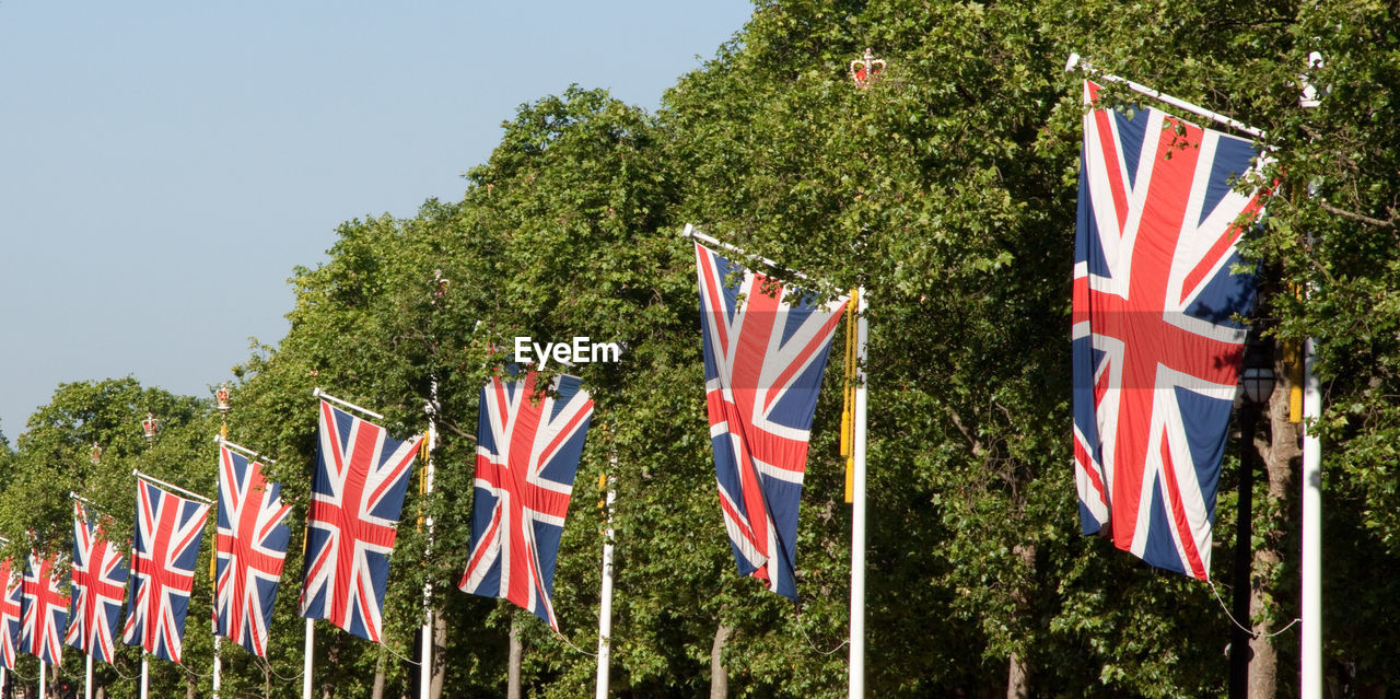 Scenic view of flags against trees