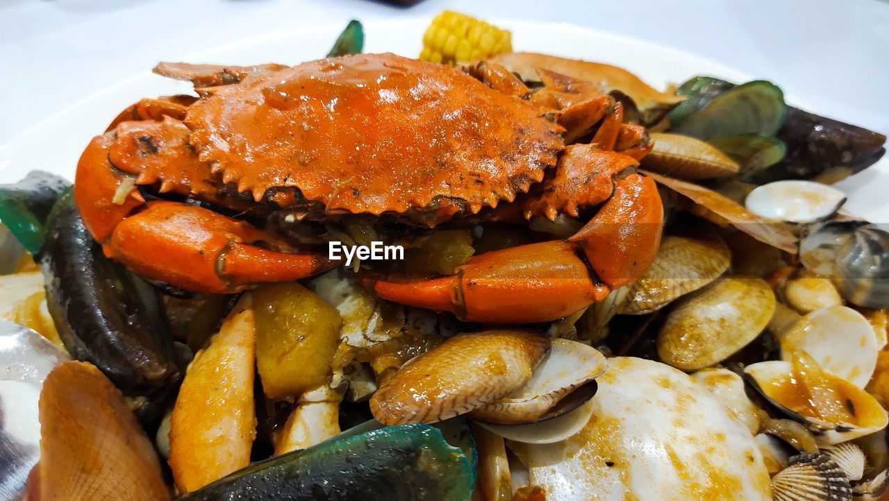 food, food and drink, healthy eating, seafood, freshness, animal, crustacean, crab, wellbeing, meal, no people, dinner, vegetable, close-up, fish, cooked, fruit, plate, animal wildlife, shell, gourmet, mussel, animal shell, dungeness crab, meat