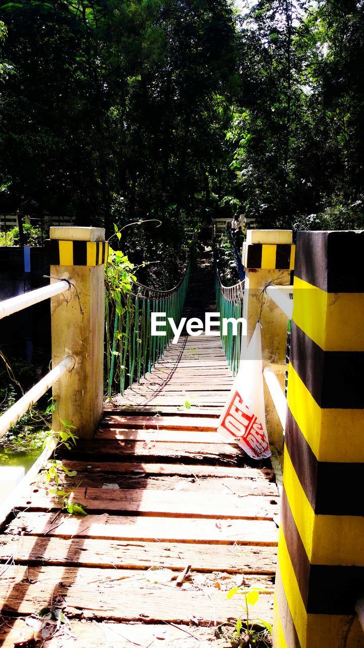 Boardwalk amidst plants and trees