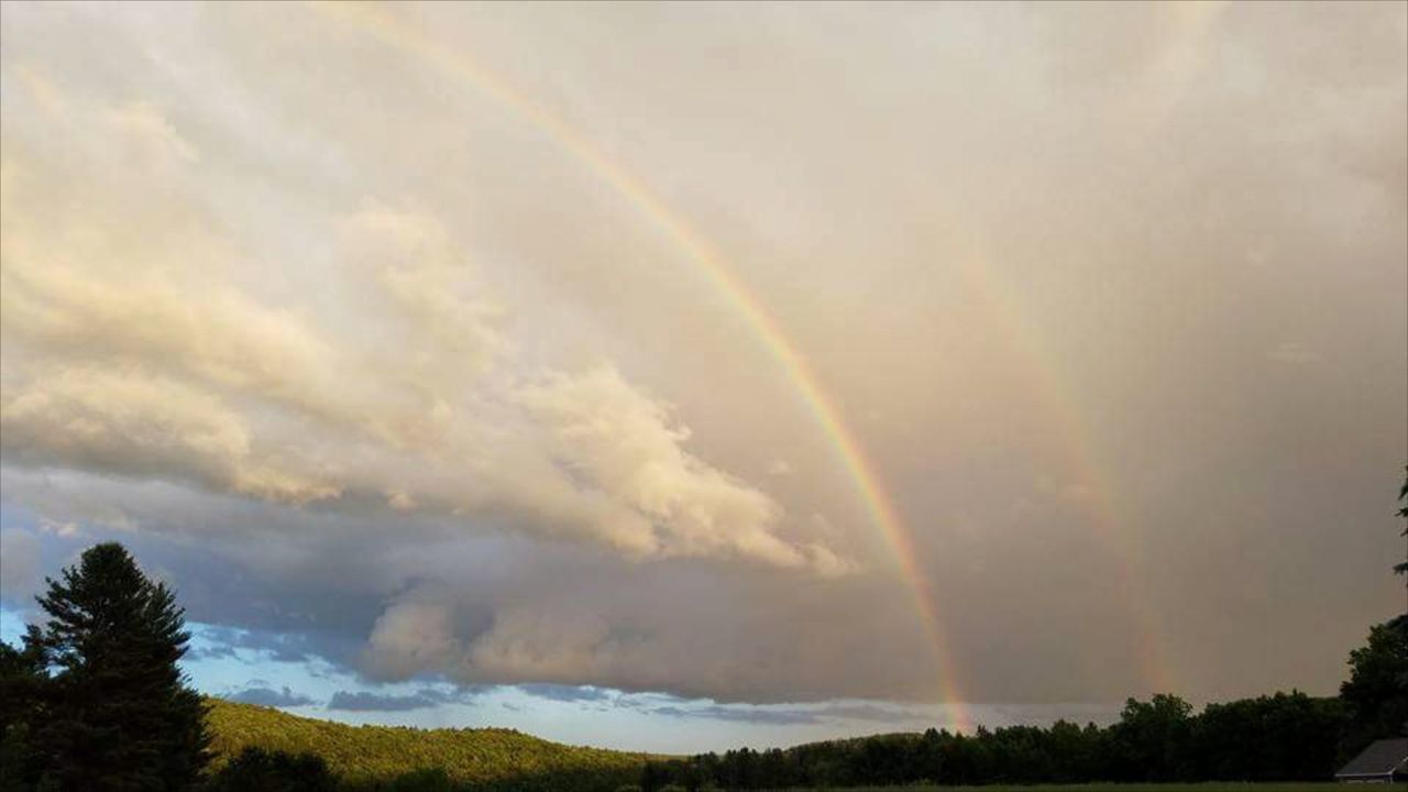 SCENIC VIEW OF RAINBOW IN SKY OVER TREES