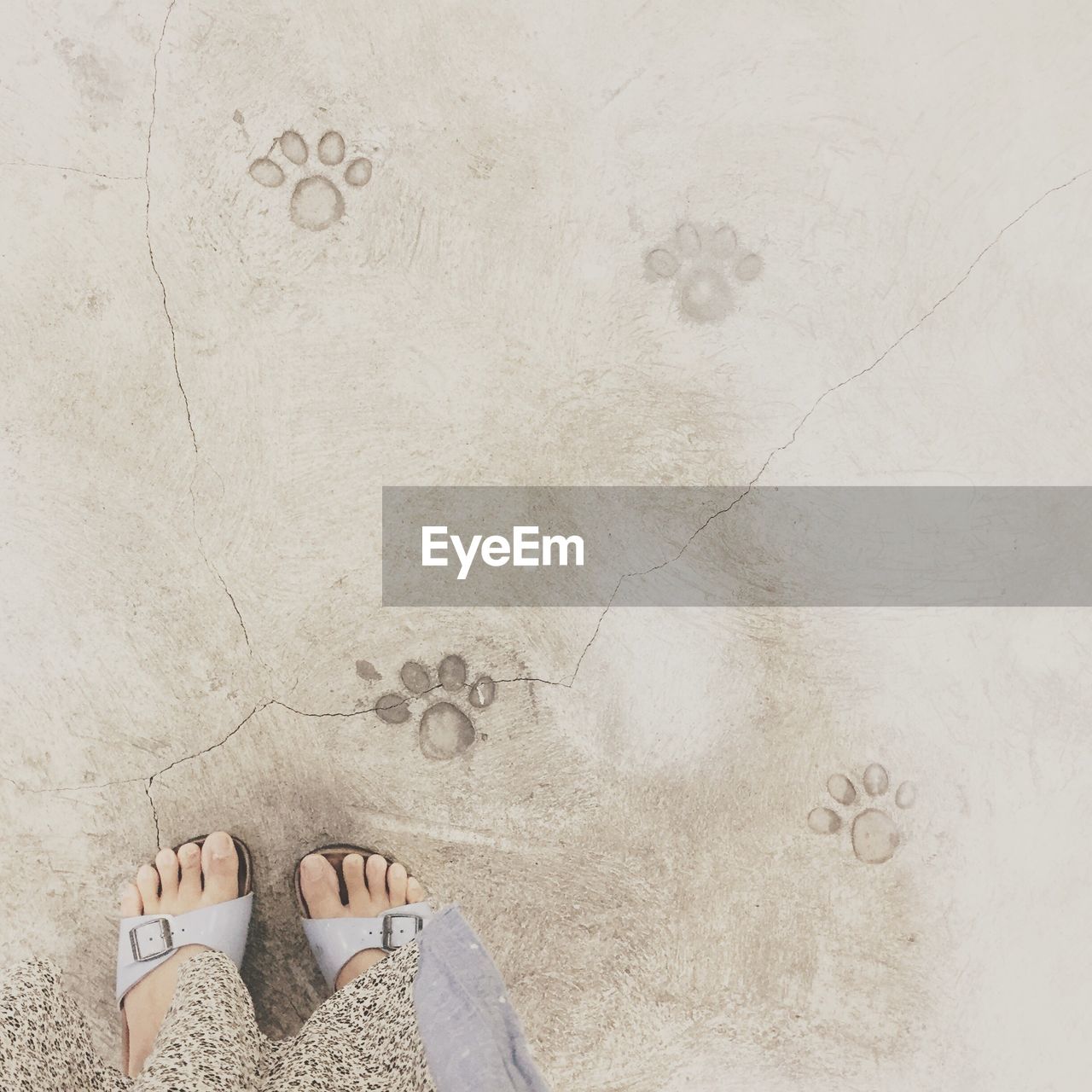 Low section of woman standing on beach