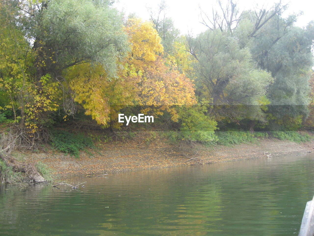 SCENIC VIEW OF LAKE