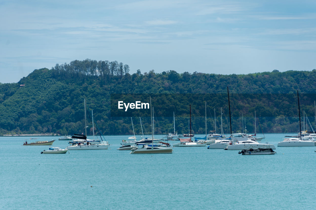 SAILBOATS MOORED IN SEA