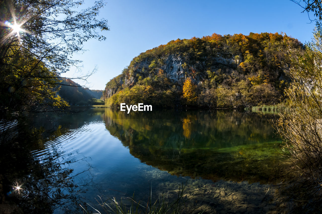 Scenic view of lake by trees against clear sky