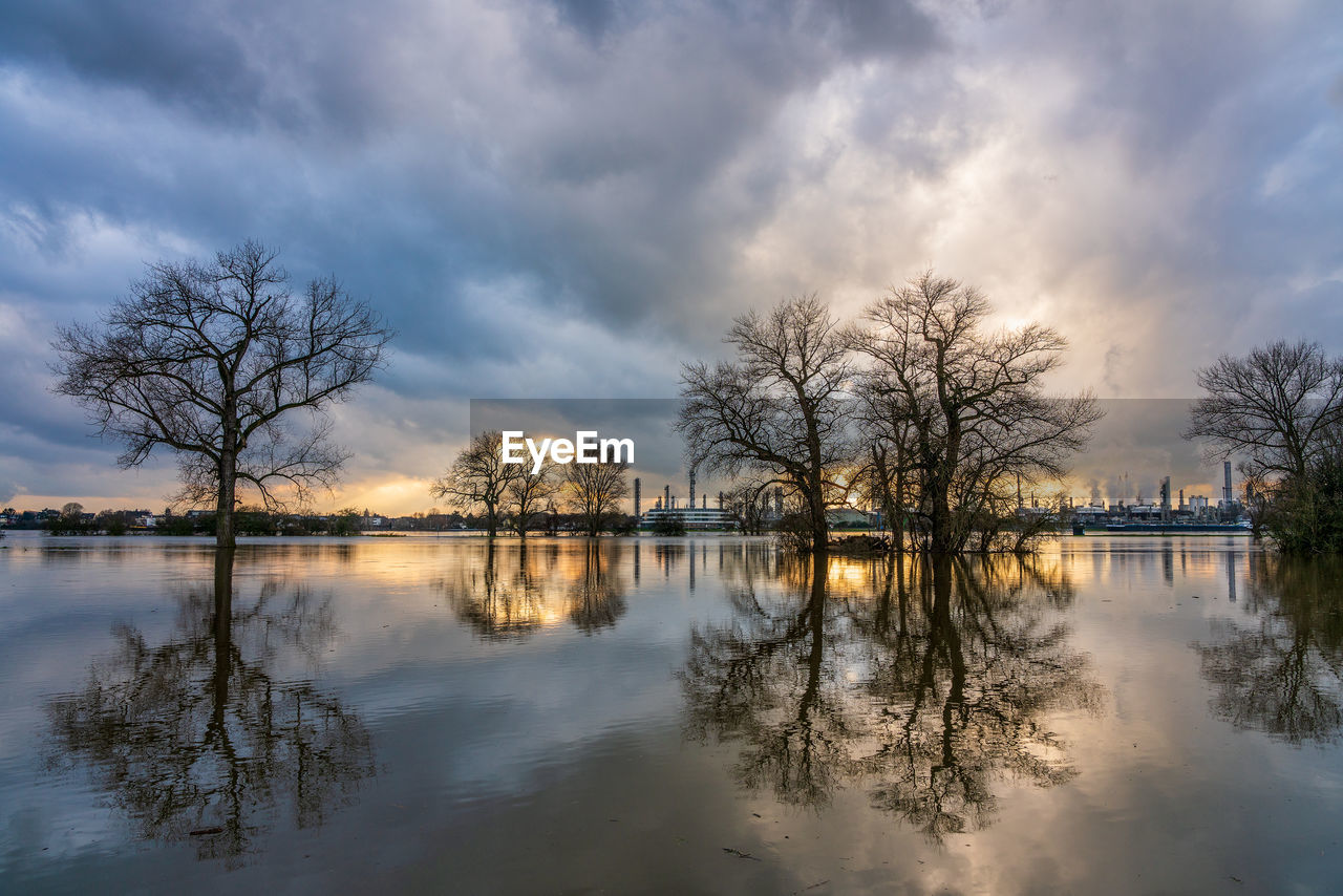 TREES BY LAKE AGAINST SKY