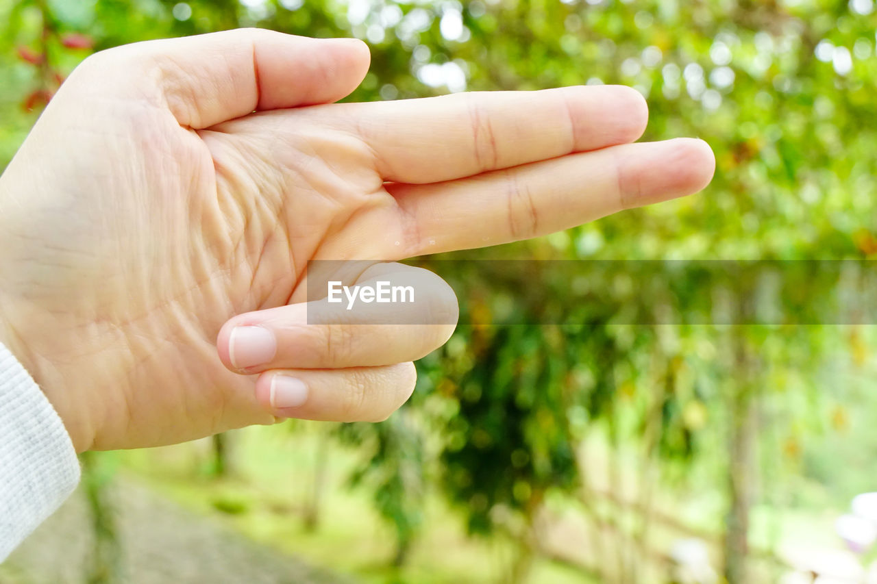 Close-up of hand gesturing gun against trees