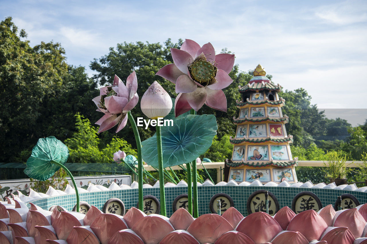 low angle view of flowers against sky