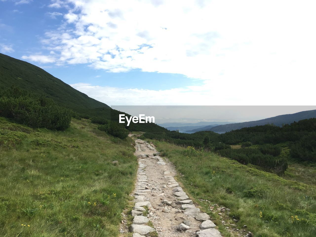 FOOTPATH LEADING TO MOUNTAIN