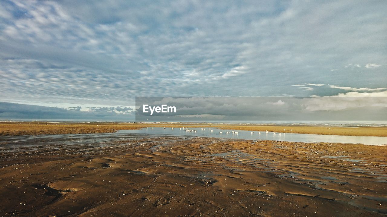 SCENIC VIEW OF BEACH AGAINST CLOUDY SKY