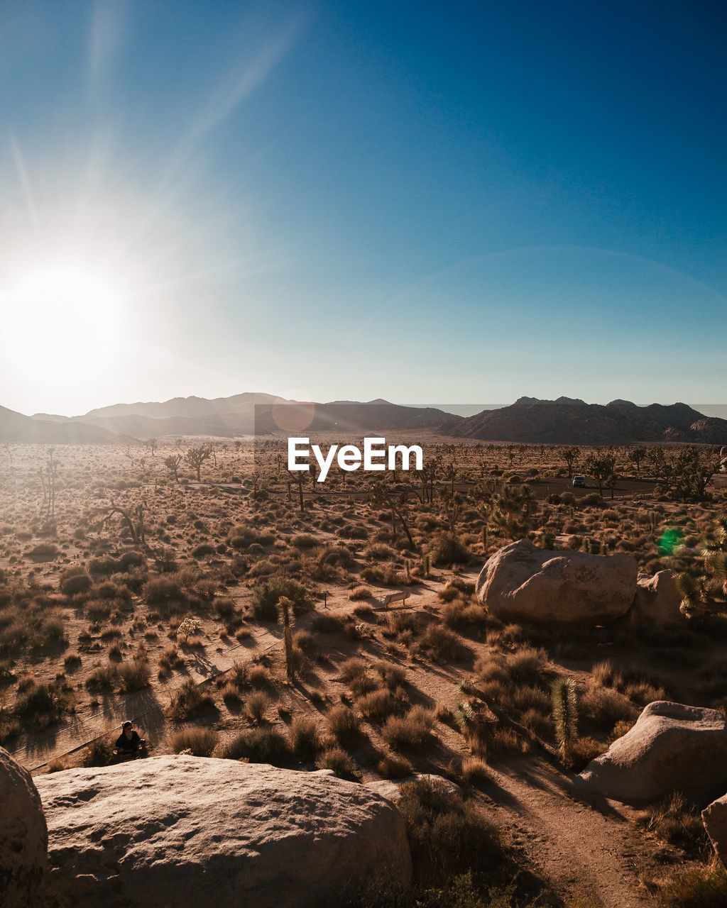 Scenic view of desert against sky