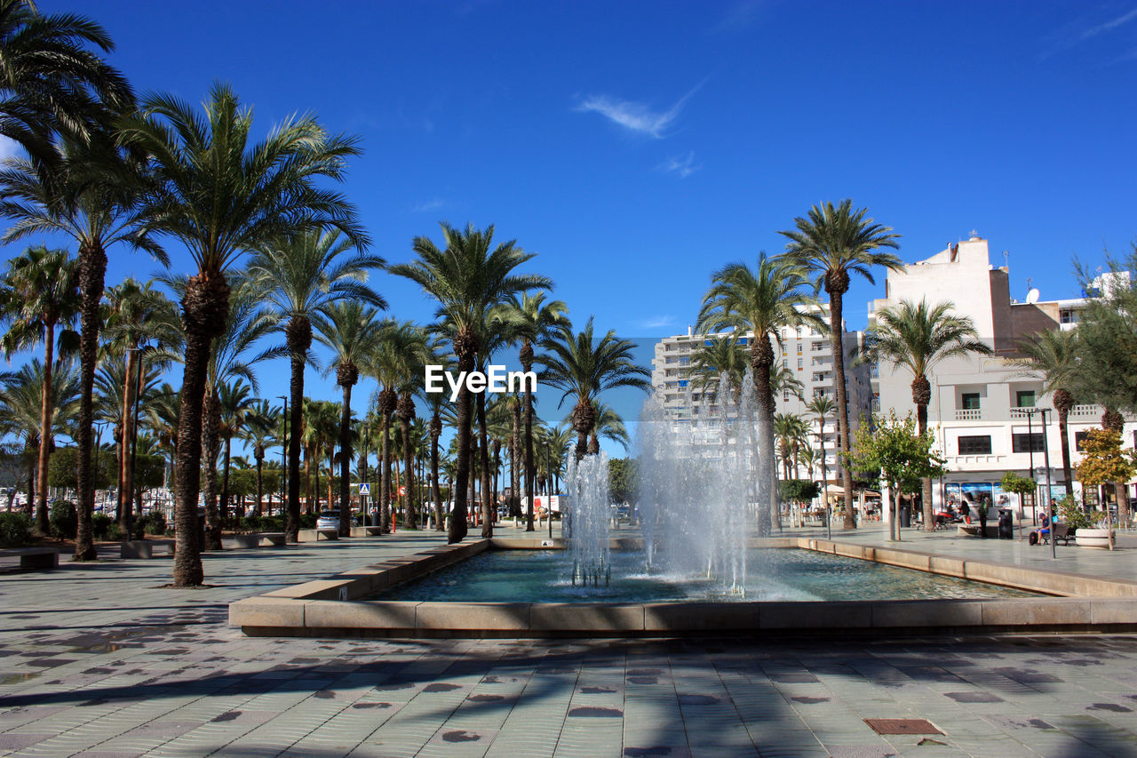 palm tree, tropical climate, tree, architecture, town square, plant, nature, plaza, sky, vacation, landmark, water, travel destinations, built structure, building exterior, fountain, walkway, city, date palm tree, blue, day, travel, outdoors, sunlight, coconut palm tree, building, tourism, date palm, street, sunny, clear sky, footpath, no people, resort, cityscape