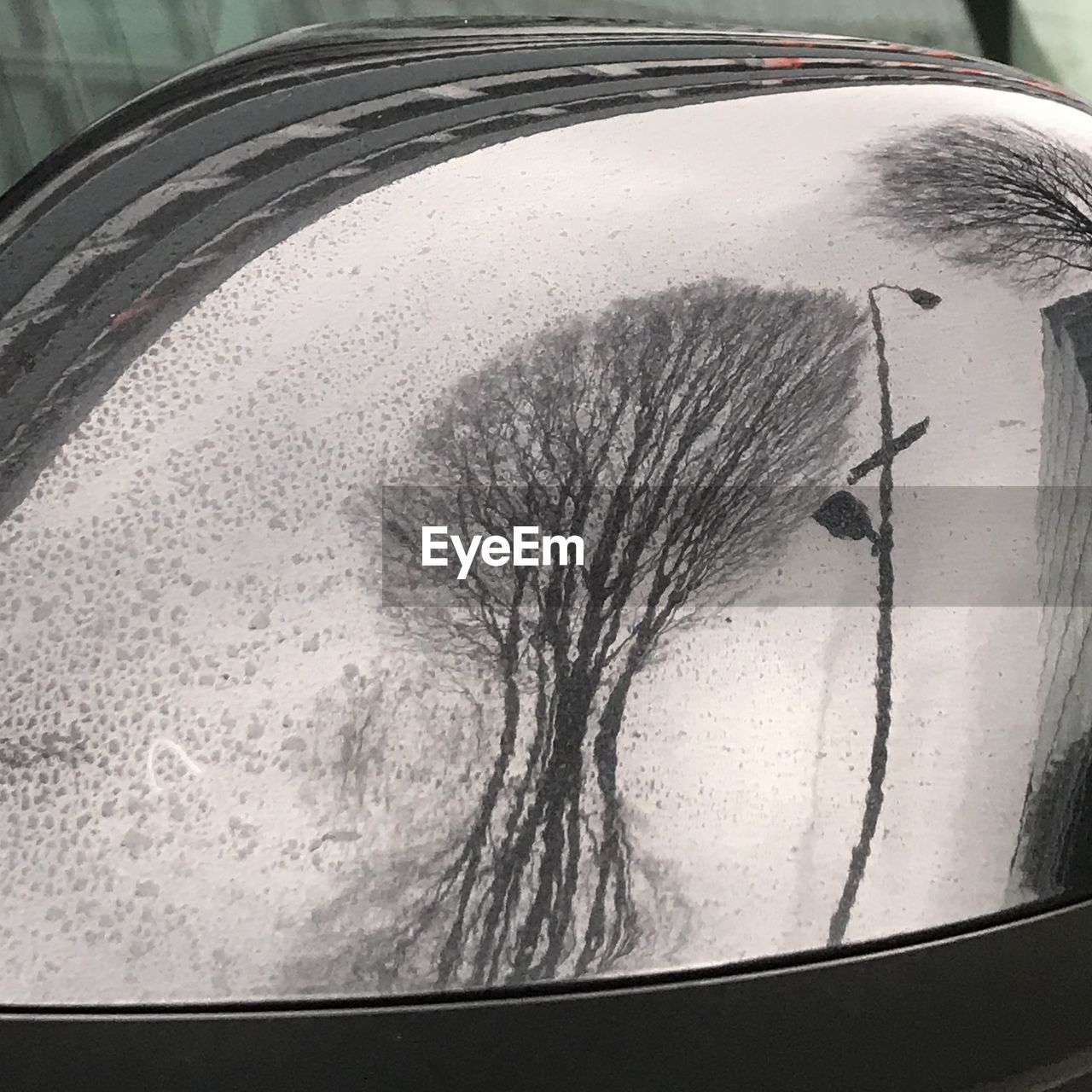 HIGH ANGLE VIEW OF GLASS OF WATER ON TREE