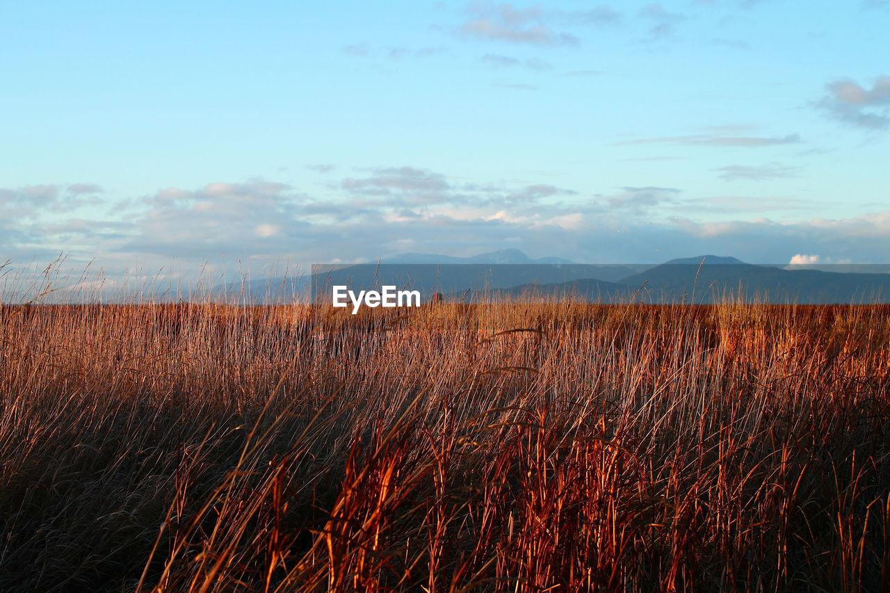 Scenic view of landscape against cloudy sky