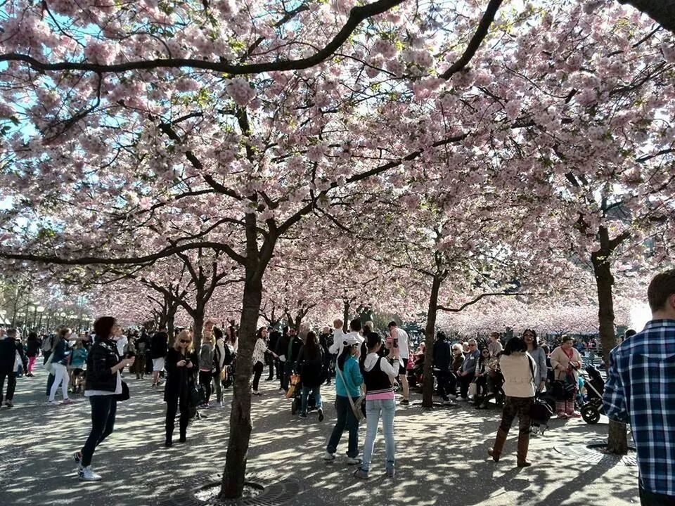 PEOPLE WALKING IN PARK